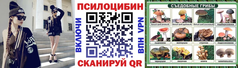 дарнет шоп  Бугульма  Галлюциногенные грибы Psilocybine cubensis 